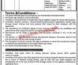 Population Welfare Department Headquarters Announced Latest Advertisement Jobs 2022