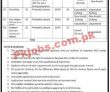 Population Welfare Department Office Management Pk Jobs 2021