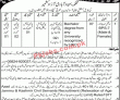 Population Welfare Department Social Work PK Jobs 2021
