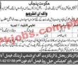 Position Vacant At Tevta
