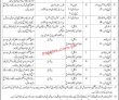 Positions Vacant At Government Organization