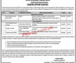 Postal Life Insurance Company Limited (PLIC) Management PK Jobs 2021
