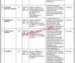 Poverty Alleviation & Social Safety Division Management Pk Jobs 2021