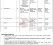 Press Jobs 2022 | Press Information Department Pid Headquarters Announced