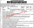 Primary & Secondary Healthcare Department PK Jobs 2021