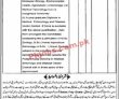 Primary & Secondary Healthcare Department Pk Jobs 2021