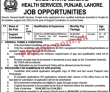 Primary & Secondary Healthcare Management PK Jobs 2021