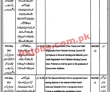 Prime Minister Health Initiative Program Latest PK Jobs 2021