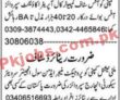 Private Jobs 2022 | Private Organizations Of Pakistan Announced Latest