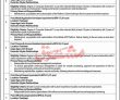 Provincial Information Technology Board Management Pk Jobs 2021