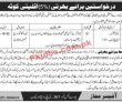 Provincial Jobs 2022 | Provincial Public Sector Organization Head Office