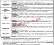 Provincial Jobs 2022 | Provincial Public Sector Organization Headquarters Announced