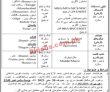 Provincial Jobs 2022 | Provincial Public Sector Organization Headquarters Announced