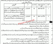 Provincial Jobs 2022 | Provincial Service Tribunal Head Office Announced