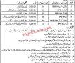 Provincial Jobs 2022 | Punjab House Administration Office Announced Latest