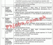Provincial Municipal Development Fund Company PK Jobs 2021