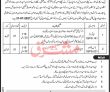 Provincial Public Sector Organization Clerical Pk Jobs 2021