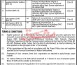Provincial Public Sector Organization Management PK Jobs 2021