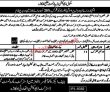 Provincial School Education Department Head Office Announced Latest Advertisement Jobs