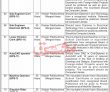 Provincial Sector Organization Announced Latest Management Pk Jobs 2021