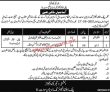 Public Health Engineering Division Pk Jobs 2021 Announced Support Staff