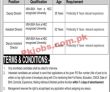 Public Sector Organization Head Office Announced Latest Recruitments