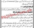 Public Sector Organization jobs 2023