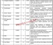 Public Sector Organization Latest Advertisement PK Jobs 2021