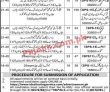 Public Sector School Ideal Testing Service PK Jobs 2021