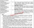 Punjab Agriculture Department Jobs 2022 | Government Of The Punjab