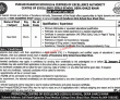 Punjab Daanish Schools Jobs January 2022