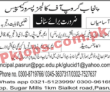 Punjab Group of Colleges Management & Teaching PK Jobs 2021