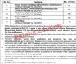 Punjab Human Capital Investment Project jobs 2023