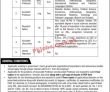 Quaid E Azam University National Institute Of Pakistan Head Office Announced Latest