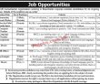 Quetta An Ngo New Today Jobs 2022 Advertisement Pk