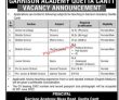 Quetta Army Public Schools And Colleges System Pakistan Latest Jobs