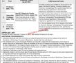 Quetta University Of Balochistan New Pakistan Jobs 2022 Advertisement