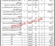 Rangers Jobs 2022 | Pakistan Rangers Cadet College Headquarters Announced