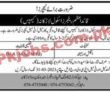 Rangers School Jobs 2023 | Rangers School Head Office Announced