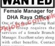 Real Estate Company Jobs 2022 | Real Estate Company Head