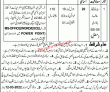 Revenue Department Jobs 2022 | Assistant Commissioner Office Revenue Department