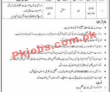 Revenue Department Management PK Jobs 2021