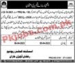 Revenue Department Patwari Jobs 2023 | Revenue Department Head Office