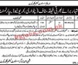 Revenue Pk Jobs 2021 | Assistant Commissioner Office Revenue Department