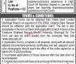 Sbbu Jobs 2022 | Shaheed Benazir Bhutto University Sbbu Head