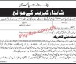 Sbp Jobs 2022 | State Bank Of Pakistan Sbp Head