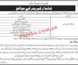 Sbp Jobs 2022 | State Bank Of Pakistan Sbp Headquarters