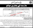 Sbp latest Jobs 2023 | State Bank Of Pakistan Jobs 2023