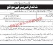 Sbp Pk Jobs 2021 | State Bank Of Pakistan Sbp