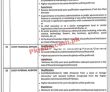 Sdfc Jobs 2022 | Skills Development Fund Company Sdfc Head